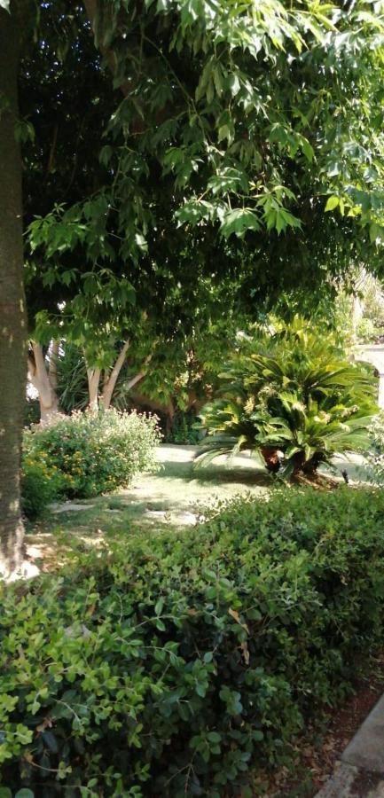 Residence Il Giunco Presicce Εξωτερικό φωτογραφία